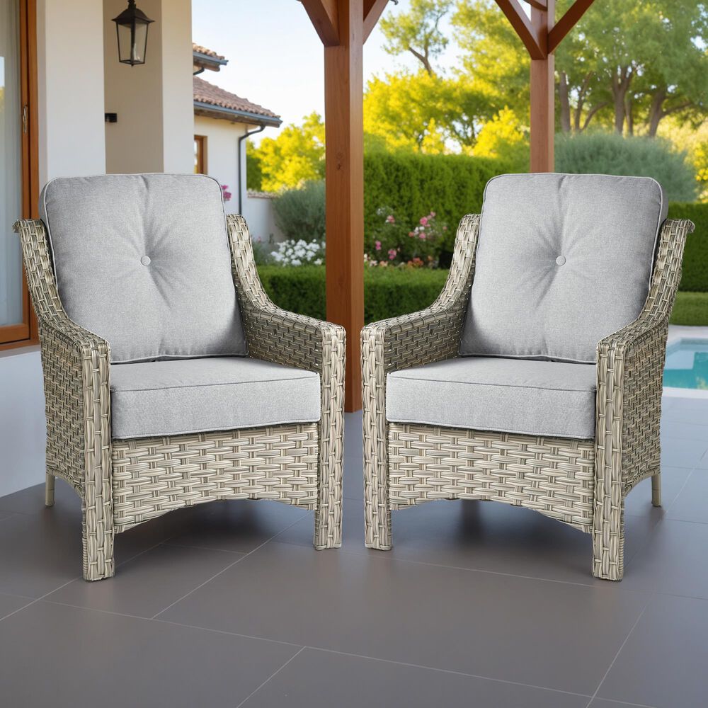 HOMLUX Outdoor Arm Chair in Gray (Set of 2), , large