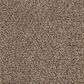 Mohawk Refined Structure Carpet in Tea Biscuit, , large