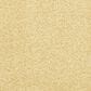Dixie Home Debut Carpet in Suede, , large
