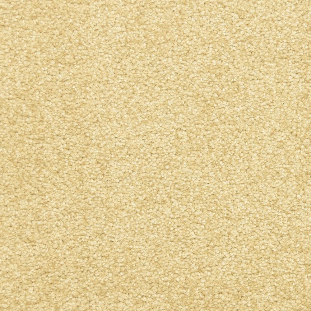 Dixie Home Debut Carpet in Suede, , large