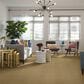 Shaw Alluring Disposition Carpet in Warmth, , large