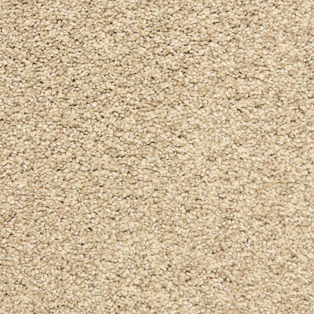Dixie Home Natural Beauty Carpet in Buff, , large