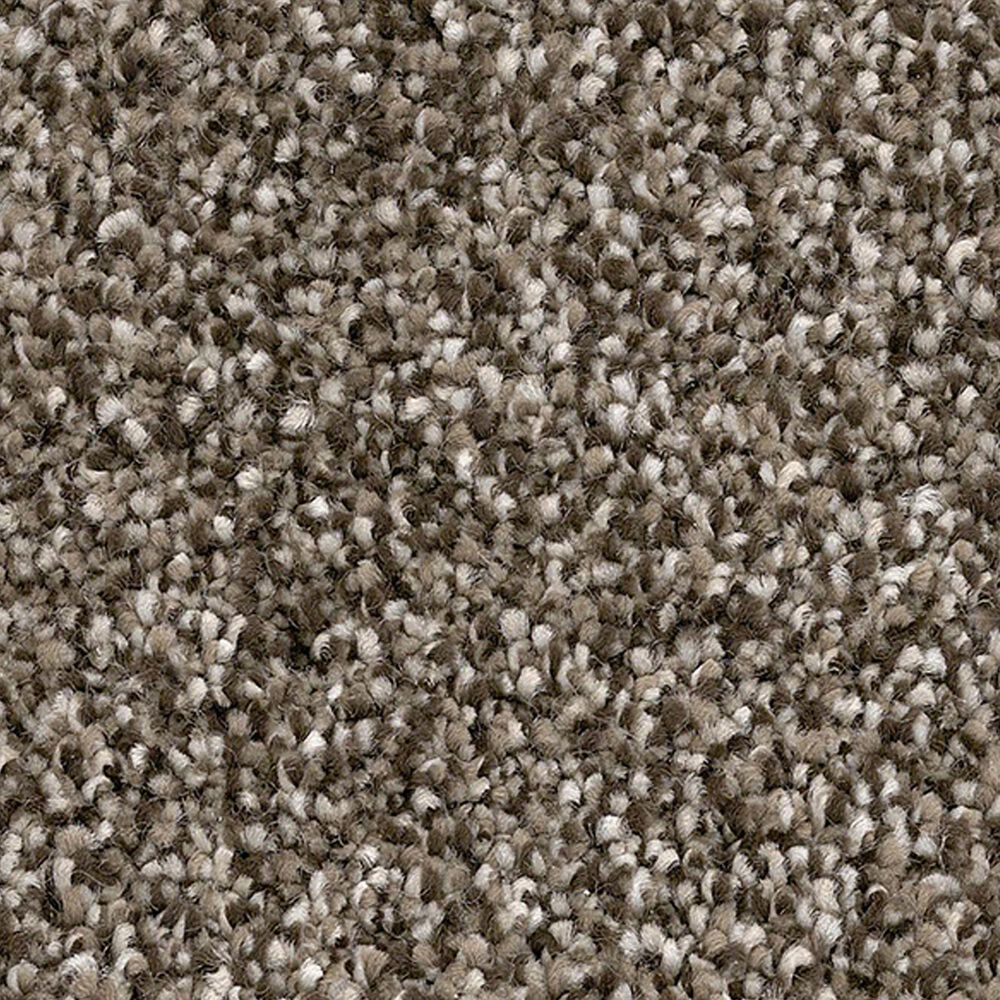 Marquis Thriller Carpet in Chocolate Chip, , large