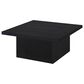 Pacific Landing Devar Square Coffee Table in Black, , large