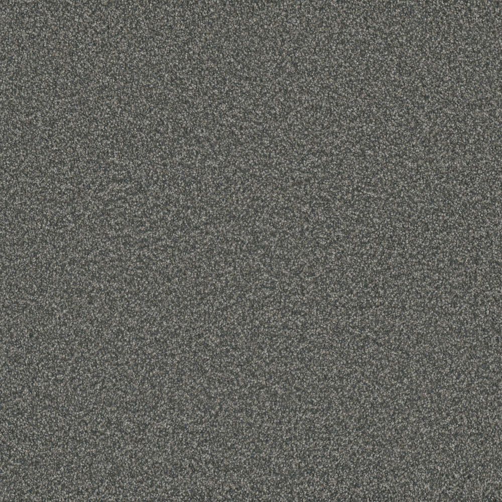 Phenix Vista Gold Carpet in Riverfront, , large