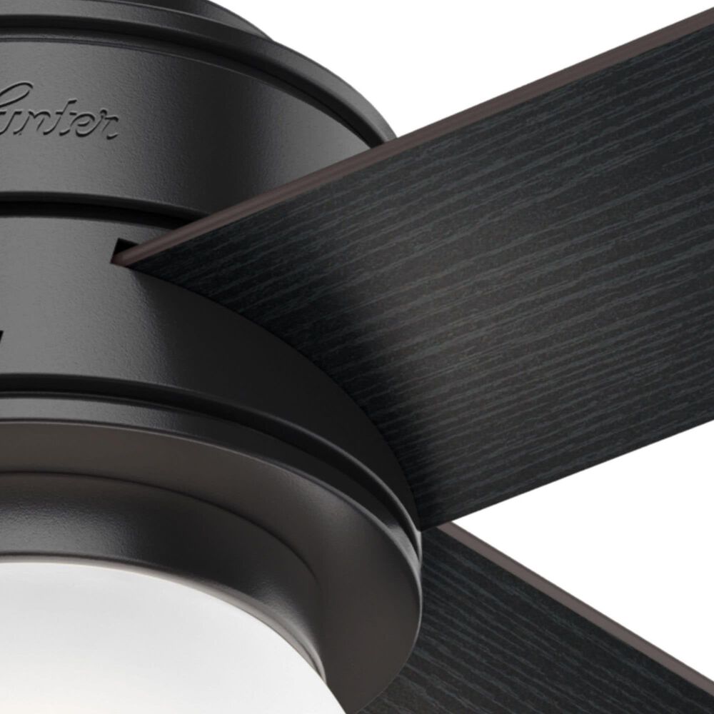 Hunter Hepburn 52&quot; Ceiling Fan with LED Light in Matte Black, , large