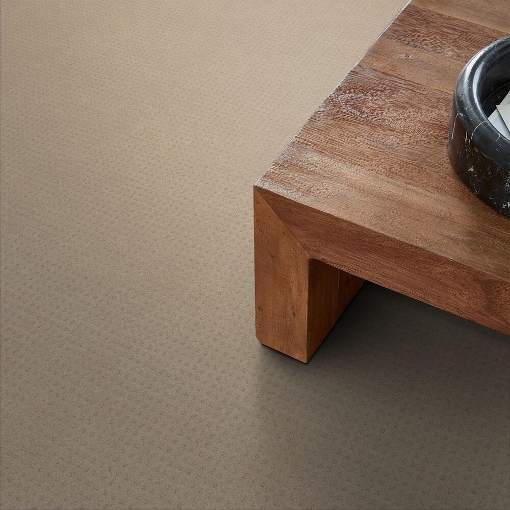 Anderson Tuftex West Coast Carpet in Terrazo, , large