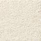 Shaw Find Your Comfort NS II Carpet in Champagne Toast, , large