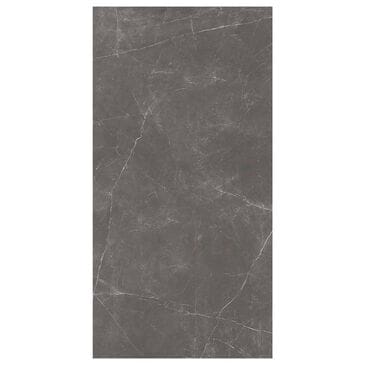 Emser Sterlina II Asphalt 24" x 47" Matte Porcelain Tile, , large