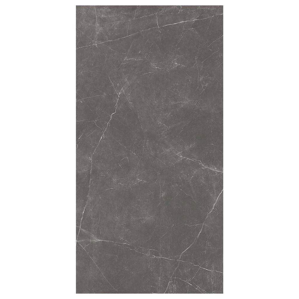 Emser Sterlina II Asphalt 24" x 47" Matte Porcelain Tile, , large