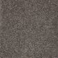 Mohawk Pleasant Touch Carpet in Keystone, , large