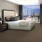 Shaw Trusplendor Carpet in Chestnut, , large