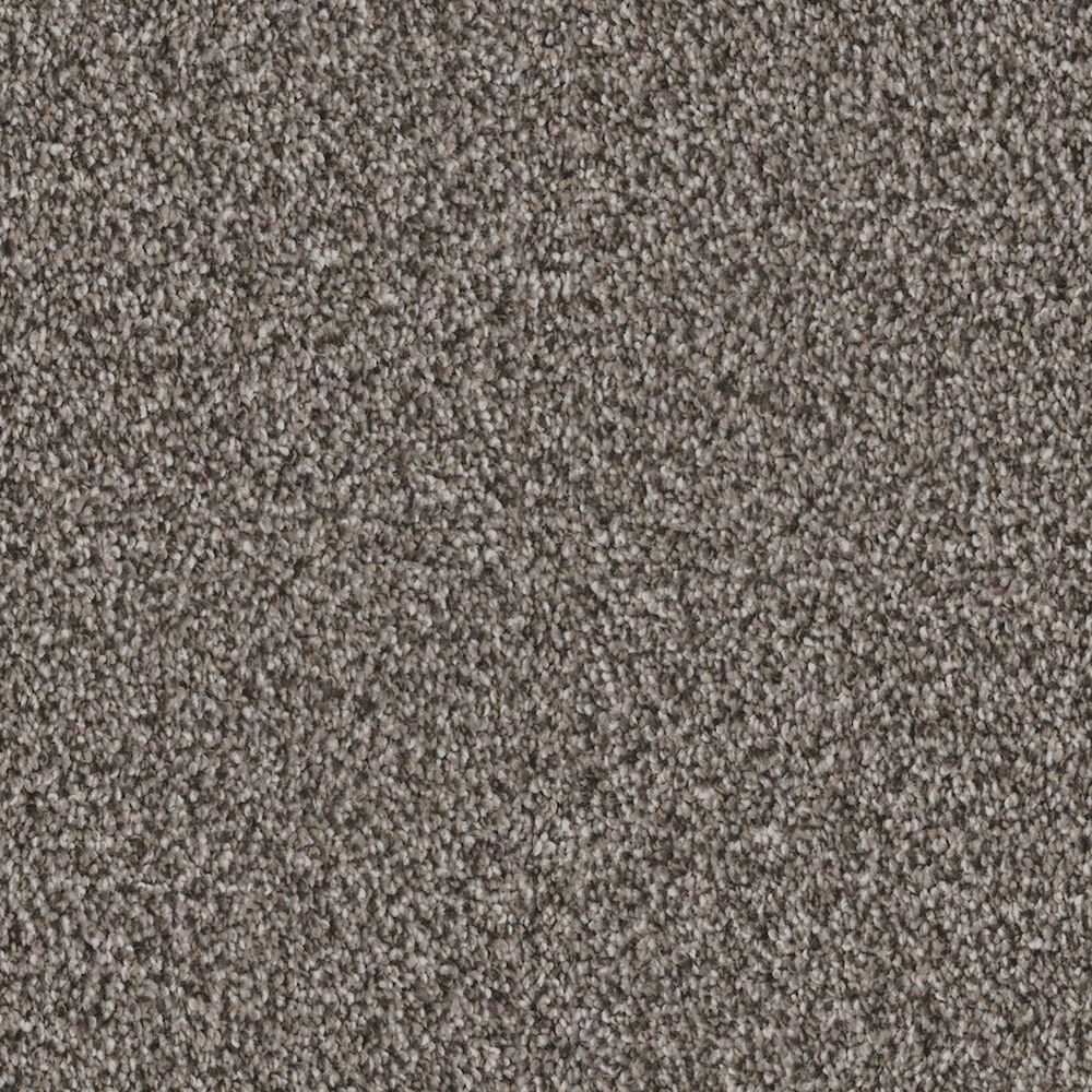 Dixie Home Admire Carpet in Hematite, , large