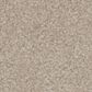Phenix Canvas I Carpet in Muslin, , large