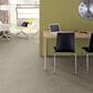 Shaw Balanced Carpet in Quiet Tan, , large