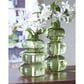 Ashley Renethorne 9.25" Vase in Green, , large