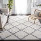 Safavieh Parma Shag PMA521A 8" x 10" Cream and Grey Area Rug, , large