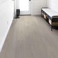 Shaw Ascent Natural Bevel Alpine 9" x 72" Vinyl Plank, , large