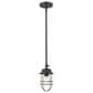Golden Lighting Seaport 1-Light Mini Pendant in Matte Black, , large