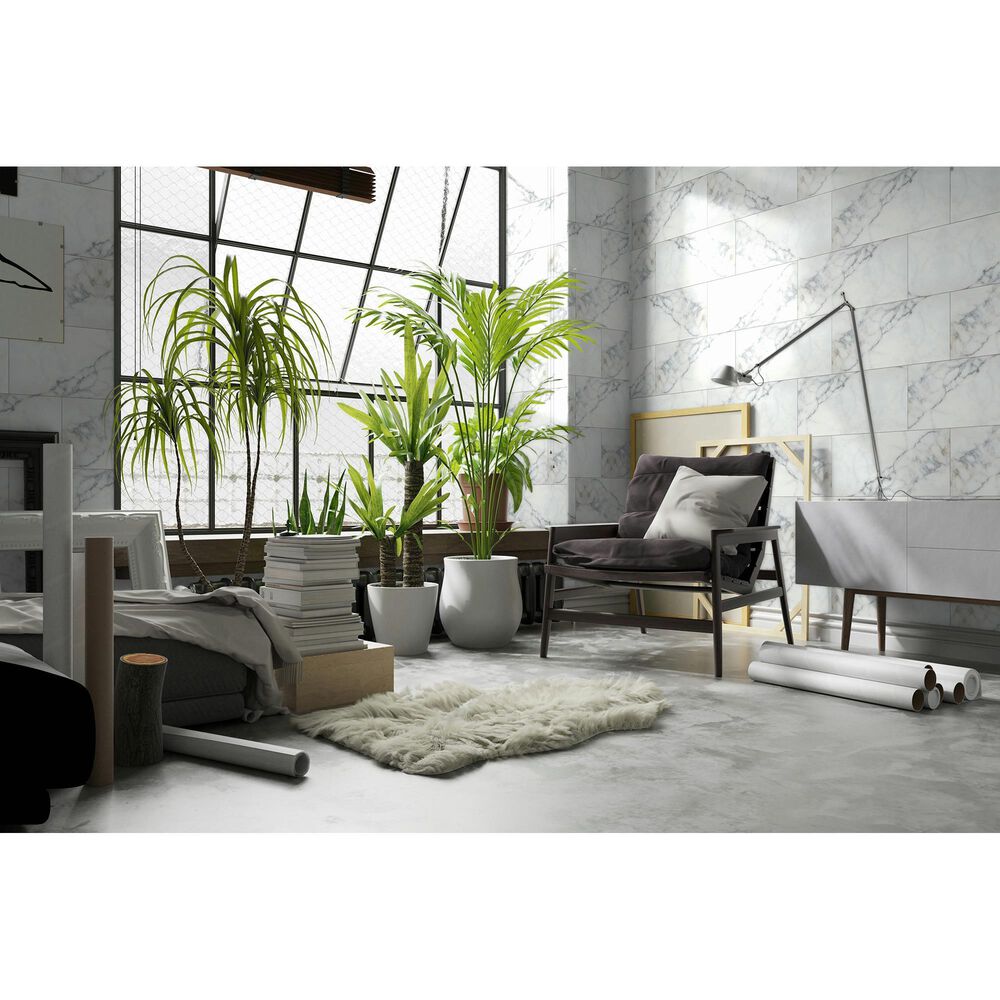Emser Parkview White 12&quot; x 24&quot; Matte Porcelain Tile, , large