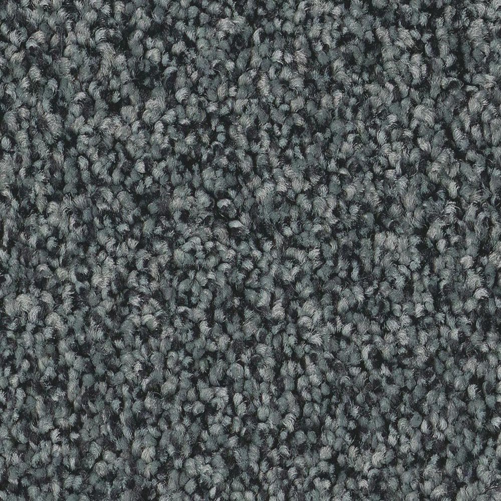 Anderson Tuftex Avalon Bay Carpet in Charcoal Blue, , large