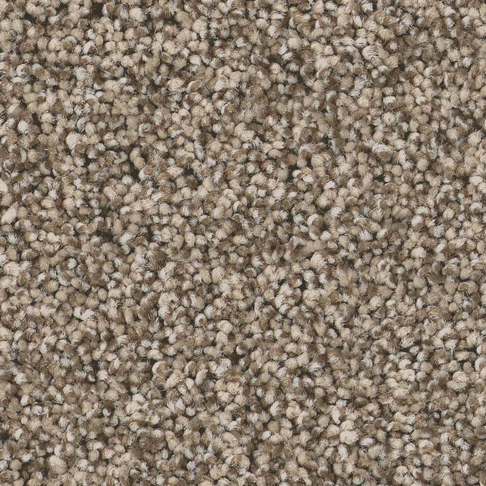 Anderson Tuftex Fabulous Carpet in Chic Taupe, , large