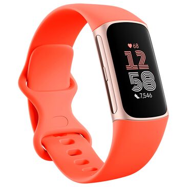 Fitbit Charge 6 Fitness Tracker Watch 36mm Champagne Gold Aluminum Case with Coral Band, , large
