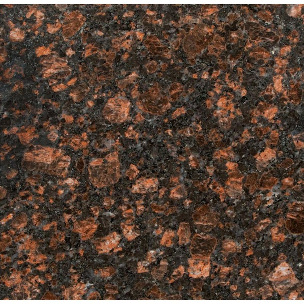 MS International Tan Brown 12" x 12" Polished Natural Stone Tile, , large