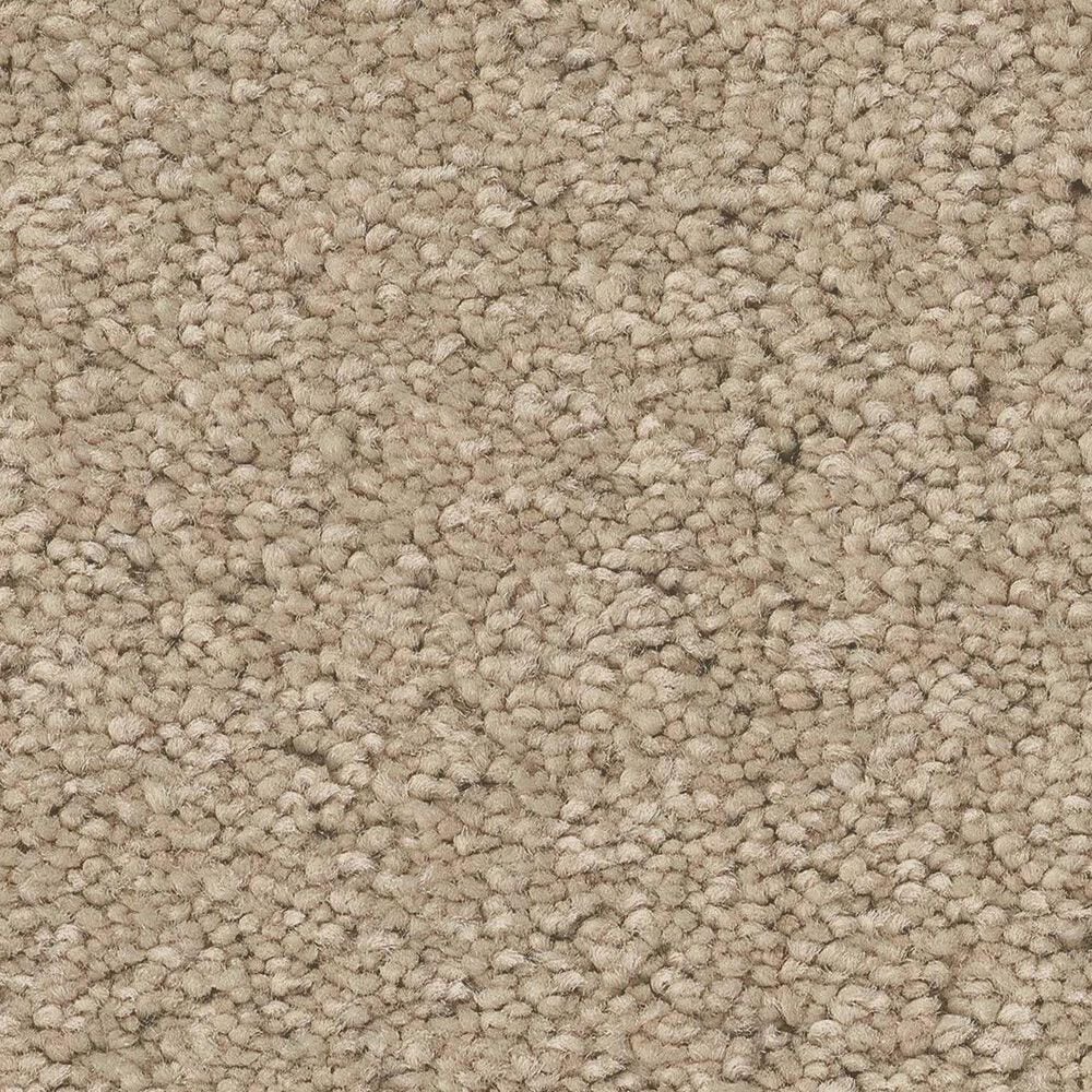 Anderson Tuftex Elegant Beauty Carpet in Buff, , large
