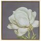Hearth and Haven 20" x 20" Botanical Wall Art Print in White, Gold and Gray (Set of 4), , large