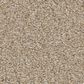 Anderson Tuftex Cypress Falls Carpet in Ecru, , large