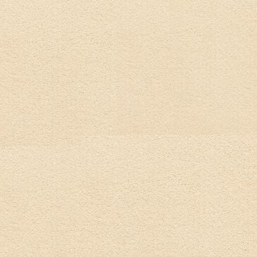 Dixie Home Neverland Carpet in Mohair, , large