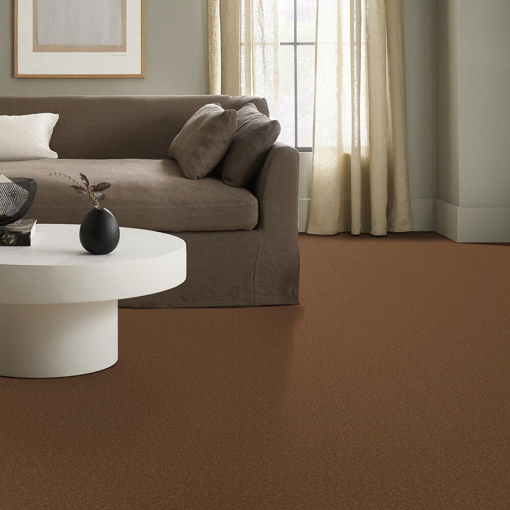 Anderson Tuftex Elegant Beauty Carpet in Autumn Glaze, , large
