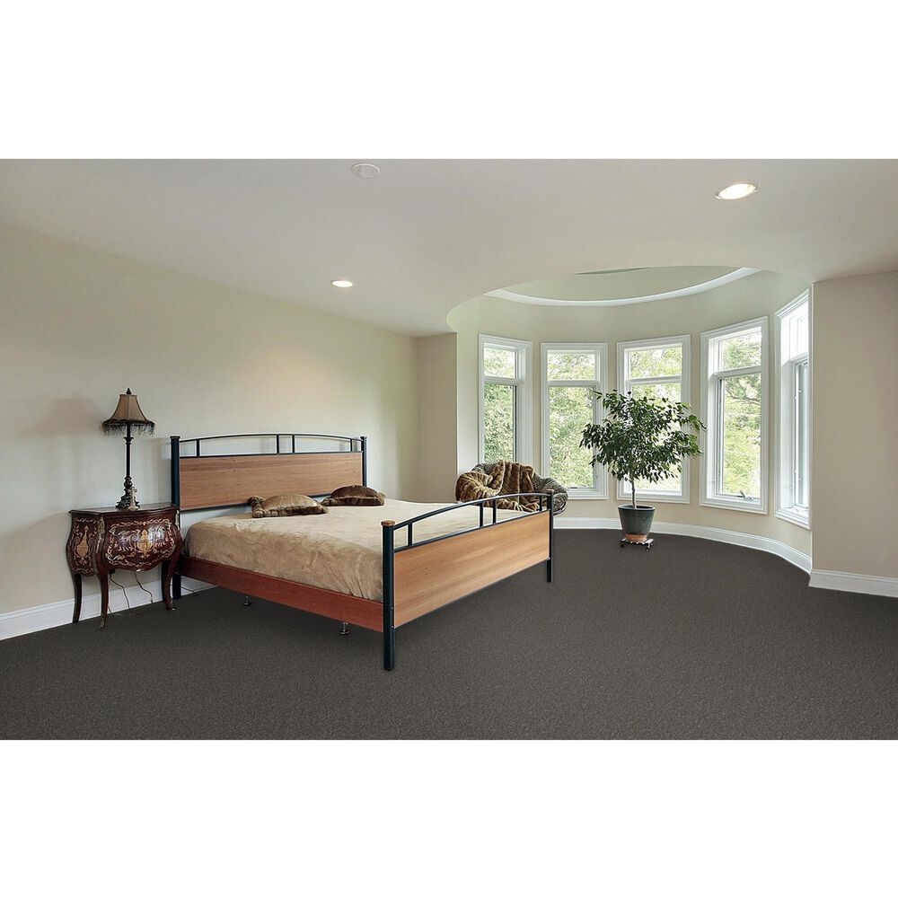 Dream Weaver Titan I Carpet in Pinehurst, , large