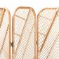 Baxton Studio Firenze Rattan Room Divider in Natural Brown, , large