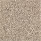 Mohawk Nature"s Elegance Carpet in Carpet in Almond Wash, , large