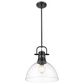 Golden Lighting Duncan 1-Light Pendant with Rod and Clear Shade in Matte Black, , large