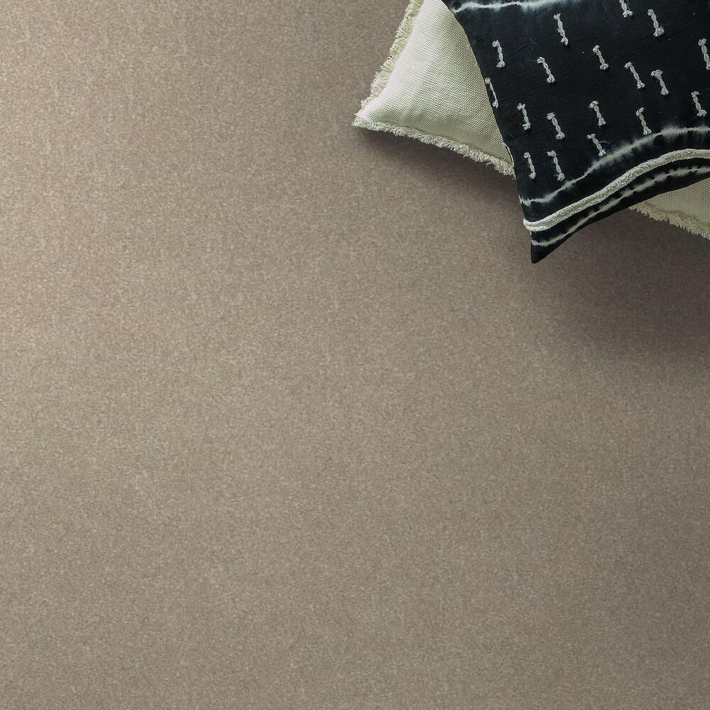Shaw Hard At Play II Carpet in Natural, , large