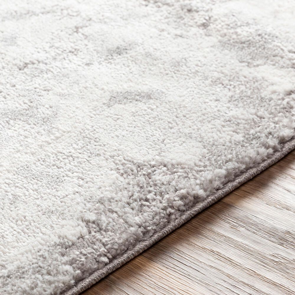 Surya Venice VNE-2305 2&#39; x 3&#39; Ivory and Charcoal Area Rug, , large