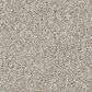 Philadelphia Delicate Feel I Carpet in Beige Mist, , large