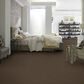 Anderson Tuftex Barracan Classic III Carpet in Bison, , large