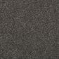 Mohawk Natural Confidence Carpet in Quiet Alcove, , large