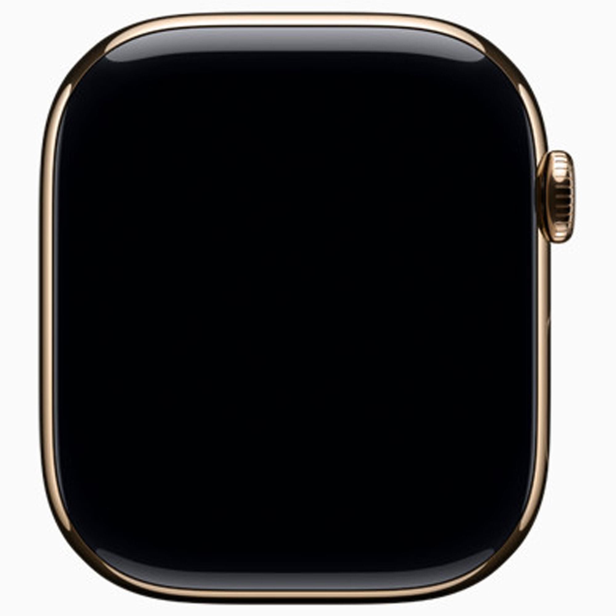 Apple - あるふぁ Apple Watch Series 11 (GPS + Cellular) 46mm Gold Titanium Case