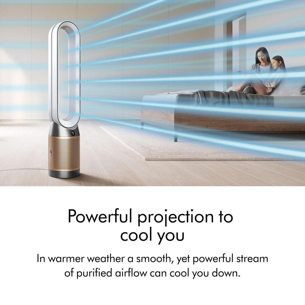 Dyson Dyson Purifier Cool PC2 De-NOx?, , large