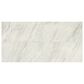 Dal-Tile Famed Iconic 12" x 24" Porcelain Tile, , large
