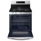 Samsung 6 Cu. Ft. Freestanding Gas Range with Self Clean in Stainless Steel, , large