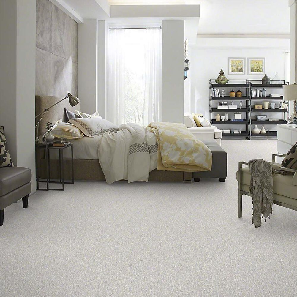 Anderson Tuftex Barracan Classic I Carpet in Silver Lining, , large