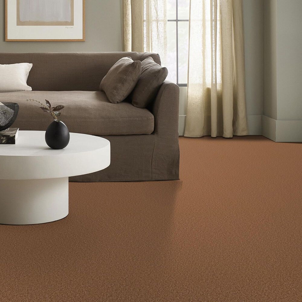Shaw Tonal Comfort I Carpet in Sunrise, , large