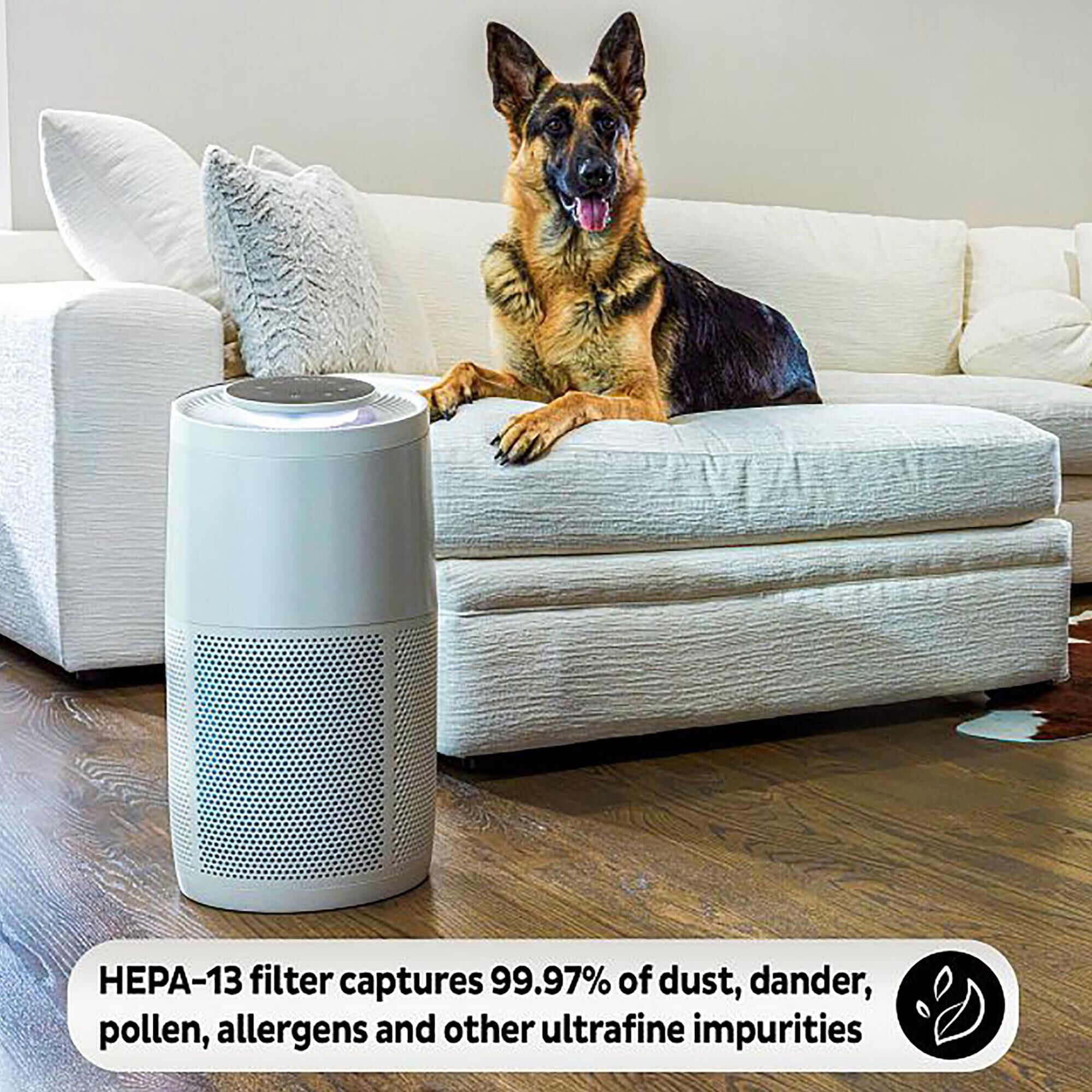Instant Brands Medium Air Purification Replacement Filter in Blue