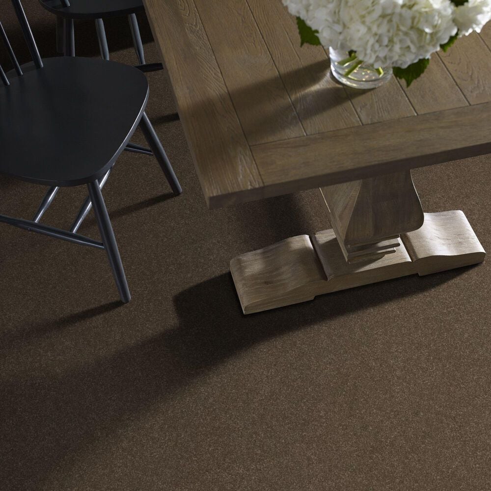 Shaw Hard At Play Iii Carpet in Mission Ridge, , large